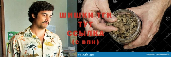 прущие грибы Богданович