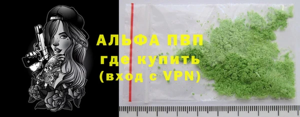 прущие грибы Богданович