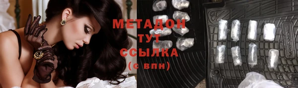 прущие грибы Богданович