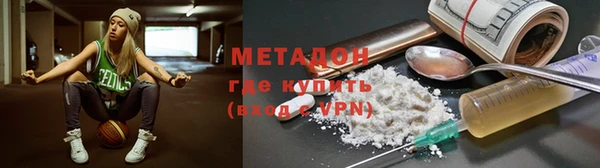 прущие грибы Богданович