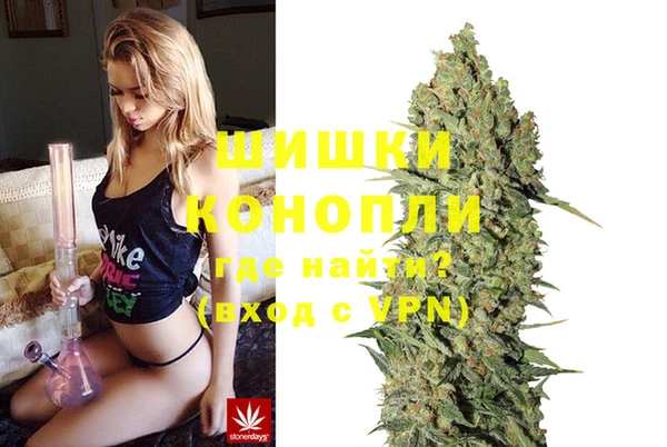 ГАЛЛЮЦИНОГЕННЫЕ ГРИБЫ Беломорск