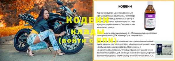 дживик Ельня