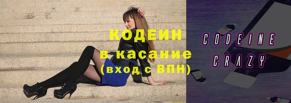 прущие грибы Богданович