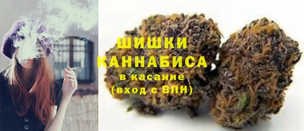 прущие грибы Богданович