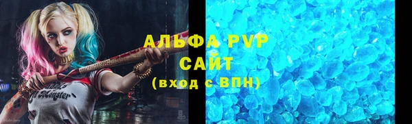 прущие грибы Богданович