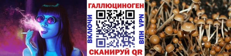 darknet формула  Дубна  Галлюциногенные грибы мухоморы  как найти наркотики 