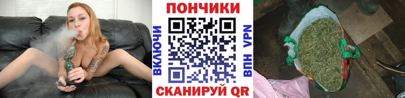 дарнет шоп  Дубна  блэк спрут как зайти  Конопля конопля 